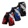 fightshort-hayabusa-chikara-3