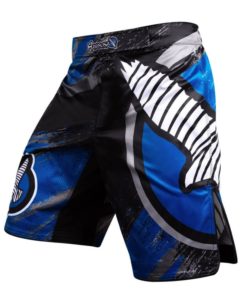 hayabusa-chikara-blue-main