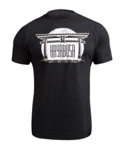 hayabusa-torii-t-shirt-black-main