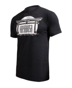 hayabusa-torii-t-shirt-black-side