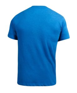 hayabusa-woc-t-shirt-blue-back