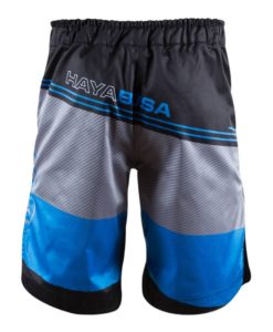 kyoudo-shorts-blue-back