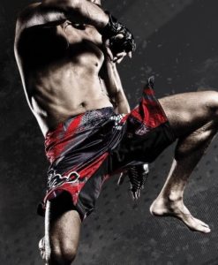 Fightshorts